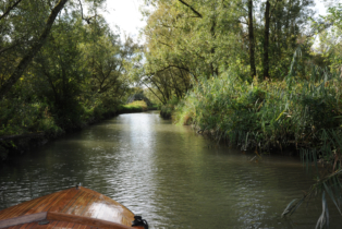 Rondvaart door de kreekjes van de Biesbosch